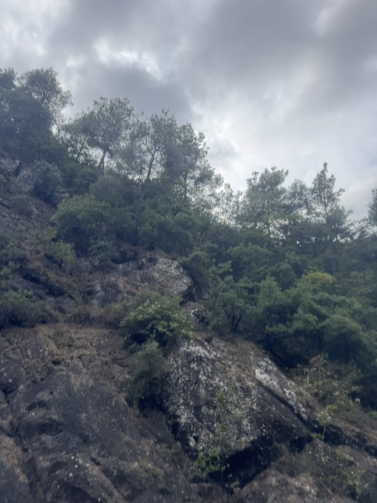 ROTA: AŞAĞI